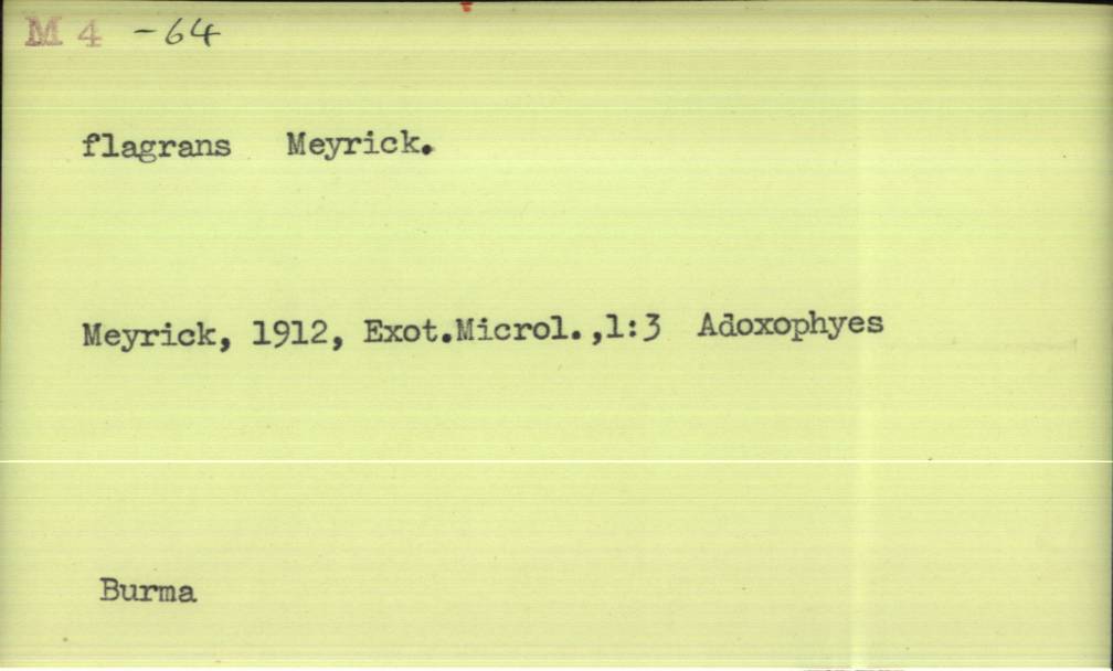 front of card